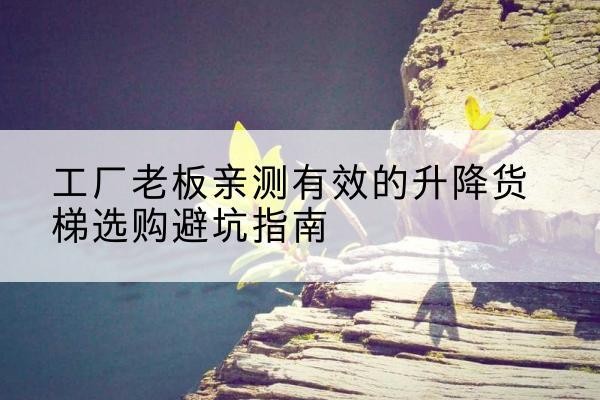 丰润升降货梯怎么选-工厂老板亲测有效的升降货梯选购避坑指南