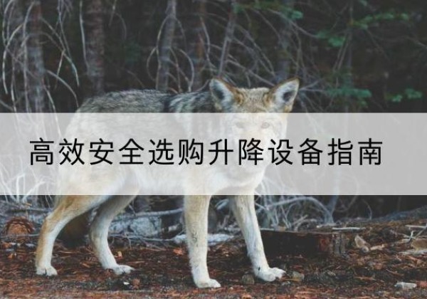 丰润升降货梯厂家推荐-*安全选购升降设备指南