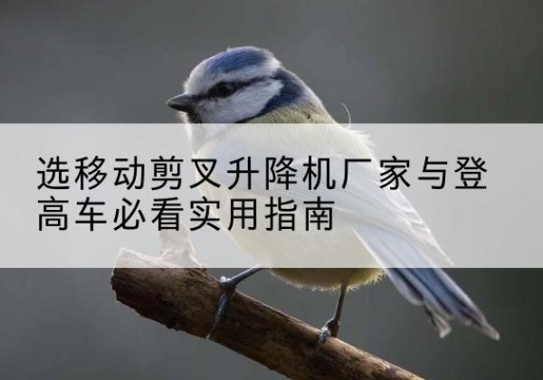 丰润电动升降机厂家-选移动剪叉升降机厂家与登高车必看实用指南