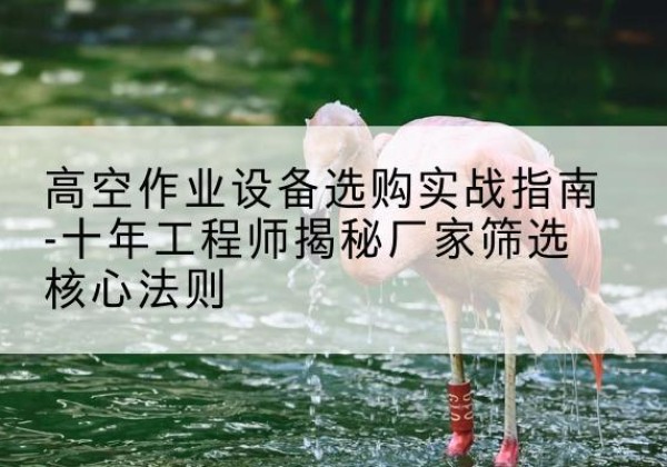 丰润剪叉式升降机厂家-高空作业设备选购实战指南-十年工程师揭秘厂家筛选核心法则